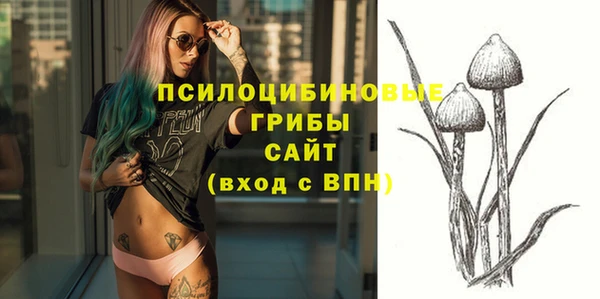 синтетический гашиш Елизово