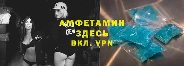 гидропоника Дмитриев