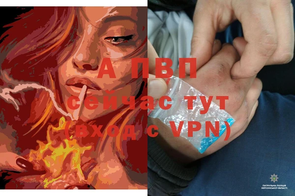 гидропоника Дмитриев