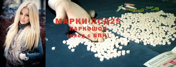 apvp Гусев
