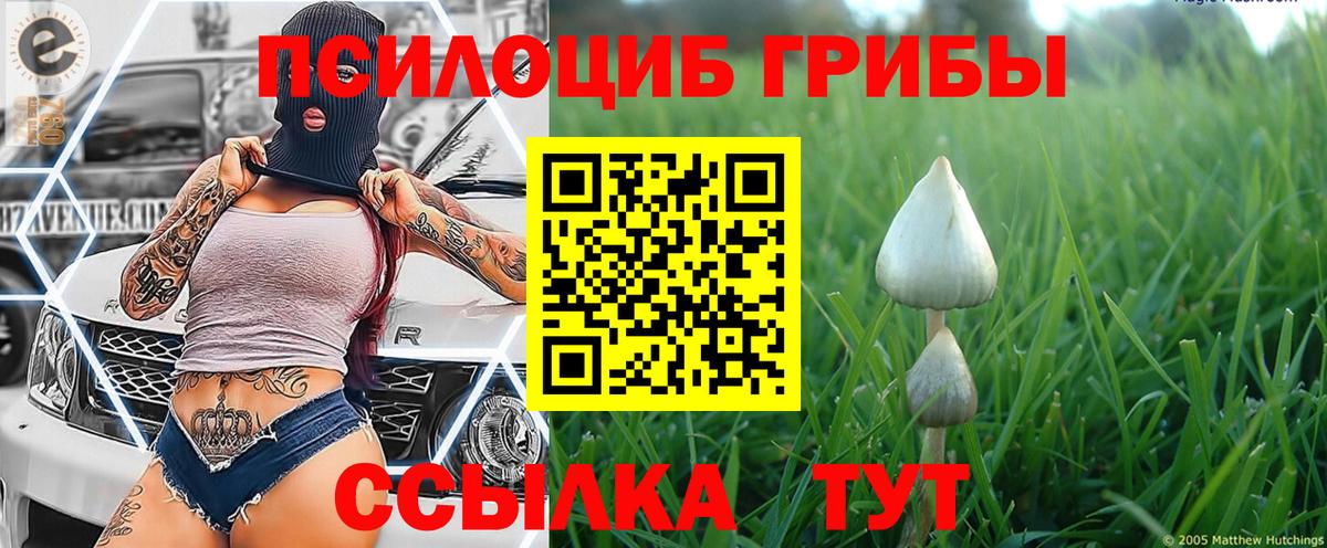 Псилоцибиновые грибы ЛСД  Вход с VPN  Карачаевск 