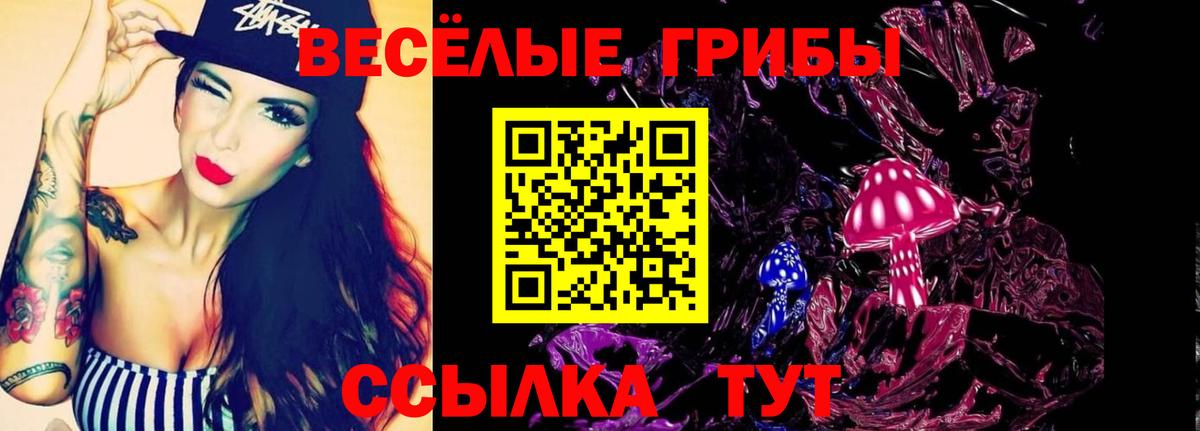 Псилоцибиновые грибы MAGIC MUSHROOMS Карачаевск
