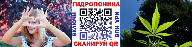 Бошки марихуана тримм KRAKEN ССЫЛКА Карачаевск